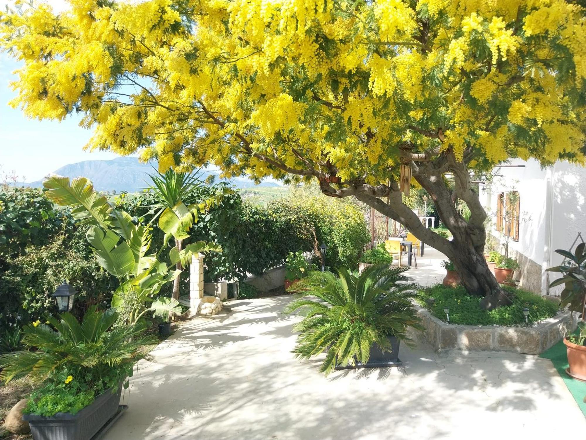 Caccamo Casa Lachesi מראה חיצוני תמונה