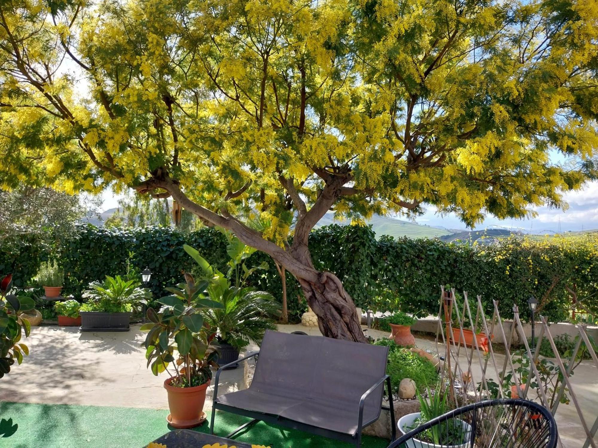 Caccamo Casa Lachesi מראה חיצוני תמונה